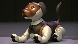 Aibo SONY robot dog favorite pet for children and adults with artificial intelligence [upl. by Pavlov171]