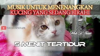 MUSIK UNTUK MENENANGKAN KUCING YANG SEDANG BIRAHI  WhiteCatHousecom [upl. by Ahtrim]