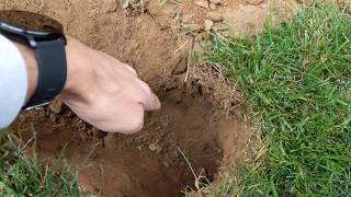 HOW TO SET THE VICTOR BLACK BOX GOPHER MOLE TRAP [upl. by Jayson]