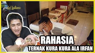 RAHASIA TERNAK KURA KURA ALA IRFAN [upl. by Niram]