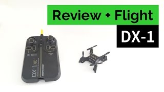 Sharper Image DX1 Micro Drone  Review and Flight [upl. by Enelear]