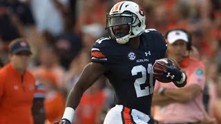 The Star Auburn RB That Disappeared What Happened to Kerryon Johnson [upl. by Epuladaug270]