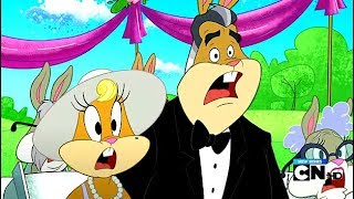 The Looney Tunes Show Full Episodes Cartoons for Kids 5 [upl. by Cyrill]