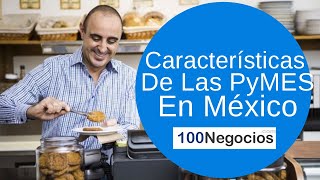 Características De Las PyMES En México [upl. by Lenod]