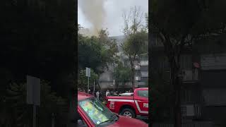 🔥 Roma Norte CDMX Mexico City 🇲🇽 [upl. by Lucille]