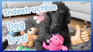 INDESTRUCTIBLE DOG TOYS Our Top 5 Indestructible Dog Toys for Dogs that are Heavy Chewers [upl. by Grubman]