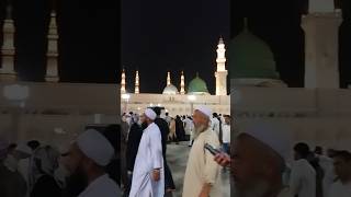 Madina Sharif ziyarat 💕 masjid e nabavi ❣️mtindia madina makkah ytshorts trending shorts vlog [upl. by Ytsanyd]