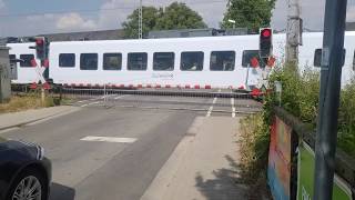 BÜS72 Bahnübergang Osthofen Ziegelhüttenweg  Railroad Crossing  Spoorwegovergang [upl. by Ocirederf506]