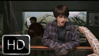 Harry potter talking to snake in zoo full scene  Harry Potter and the philosophers stone HD [upl. by Frederik118]