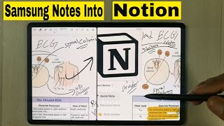 How To Insert Samsung Notes In Notion  Handwritten Notes In Notion [upl. by Ayotyal]