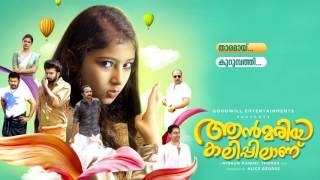 Ann Maria Kalippilaanu All Songs Audio Jukebox [upl. by Liss478]