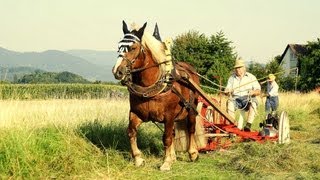 Historische HeuErnte 2012 in AchernFautenbach [upl. by Aihsit]