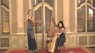 Astor Piazzolla Oblivion arr for flute and lever harp [upl. by Clevey]