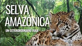 AMAZONAS SALVAJE  Un Mundo Extraordinario  Mini Documental [upl. by Wenz146]