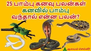 7 ஆரோக்கிய உணவுகள்  Arokiya Unavugal in Tamil  Healthy Food Ideas [upl. by Gerson320]