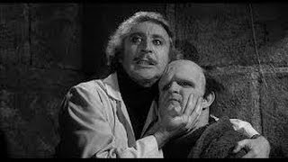 Alan Spencer on YOUNG FRANKENSTEIN [upl. by Malinda]