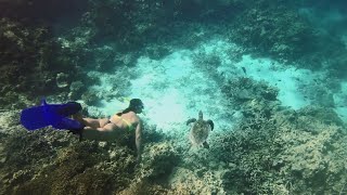 Embudu Village  Diving and Snorkeling [upl. by Ibbed13]