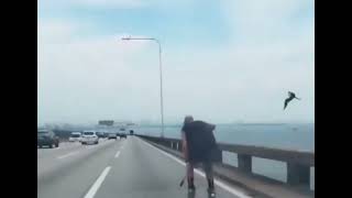 Homem anda de patins na Ponte RioNiteroi [upl. by Brunell]