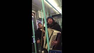 Constantine Constantine  Acordeon si Bas  tramvai Geneva 2016 live [upl. by Aekal169]