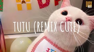 tutututititu Tutu  DJ Komang Rimex  Vietsub  Lyric Tik Tok Song [upl. by Czarra]