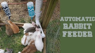 DIY AUTOMATIC Rabbit Feeder [upl. by Lebar]