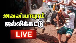 Avaniyapuram Jallikattu 2025 Live தொடங்கியது அவனியாபுரம் ஜல்லிக்கட்டு நேரலை 🔴🔴 [upl. by Elaweda823]