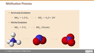 Unlock Nitrification amp Remove Ammonia [upl. by Asehr]