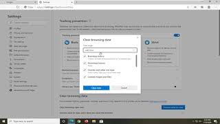 How to Clear the Cache and Cookies in Microsoft Edge Tutorial [upl. by Eniamat]