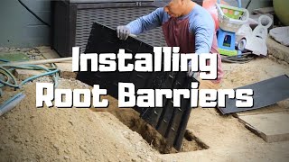 Installing Root Barriers to Protect House Foundations and Sidewalks [upl. by Doelling]