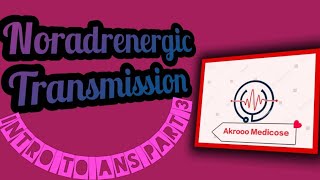 Noradrenergic transmission intro to ANS part 3 [upl. by Eden]