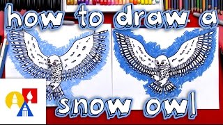 How To Draw A Realistic Snow Owl [upl. by Kristofor970]