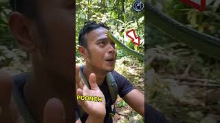 This Man is a Wildlife Expert and is Going to Tell us a Life hack 😱🫡 respect shorts ytshorts [upl. by Jobyna]