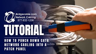 How to Punch Down CAT6 Network Cabling into a Patch Panel  BridgeCablecom [upl. by Okier]