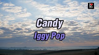 Iggy Pop  Candy Karaoke New Wave HD [upl. by Haela]