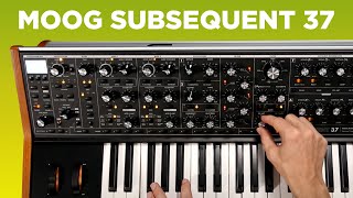 Moog Subsequent 37 Sounds [upl. by Yvonner]