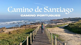 Camino de Santiago  Camino Portugues 2022  Porto to Santiago  11 Days  280KM 175 miles [upl. by Lipkin]