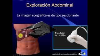 exploración ecográfica del abdomen [upl. by Zeret]