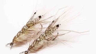 Fly tying quotPro Dotted Shrimpquot Saltwater shrimp Stepbystep tutorial [upl. by Aube138]