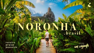 FERNANDO DE NORONHA BRASIL Viagem roteiro melhores passeios e dicas [upl. by Nhguaved]