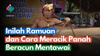 Inilah Ramuan dan Cara Meracik Panah Beracun Mentawai [upl. by Htnicayh]