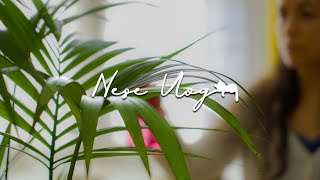 Je sauve une plante en détresse  Recette de répulsif maison  Neşe Vlog 13 [upl. by Kelby]