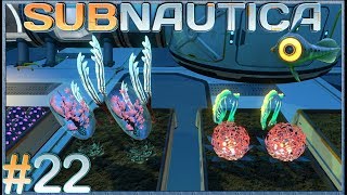 Hatching Enzymes  Episode E22  Subnautica Gameplay [upl. by Aidin]