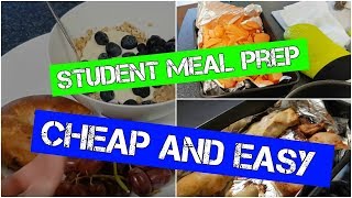 Student Meal Prep  Cheap and Easy [upl. by Oram702]