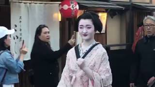 Ep 25 Geishaspotting In Search of Geisha in the Gion District of Kyoto Japan [upl. by Iow352]