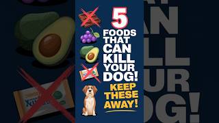 5 Dangerous Foods That Can Kill Your Dog pethealthtips doghealth dogcaretips shortvideo [upl. by Bush]