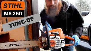 STIHL MS250 TUNE UP [upl. by Eded]