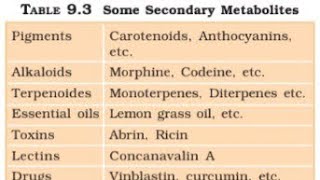 BIOMOLECULE ll PART2 ll METABOLISM ll जैवअणु ll NCERT READING [upl. by Enaujed]