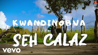 Seh Calaz  Kwandinobva Official Video [upl. by Lasley]