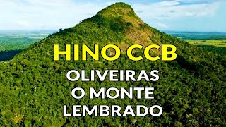 CCB  Hino Lindo quotOliveiras o Monte Lembradoquot [upl. by Iadahs]