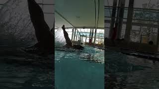 Have you tried this drill in swimming swimming [upl. by Samuel]